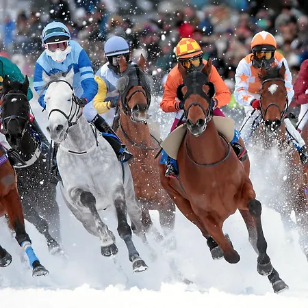 Hotell Bernina 1865 By Kleos Group Collection