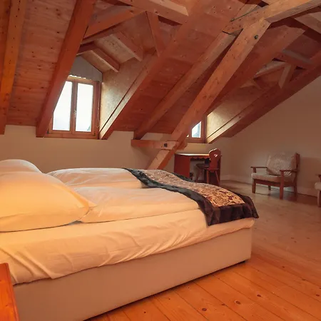 Th Samedan - Hotel Bernina 1865