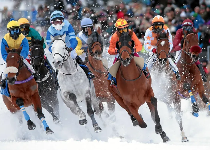 Отель Bernina 1865 By Kleos Group Collection